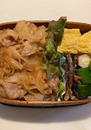 赤がないよ弁当-レシピのメイン写真