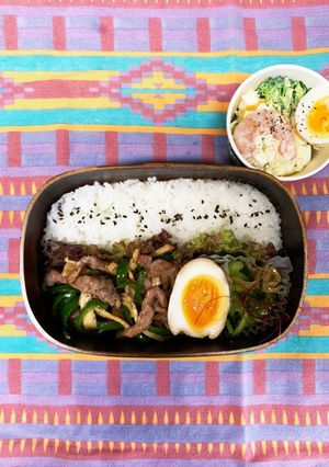 青椒肉絲弁当　〜高校生男子弁当〜-レシピのメイン写真