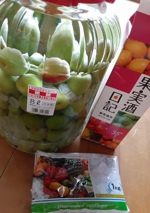 梅酒-レシピのメイン写真