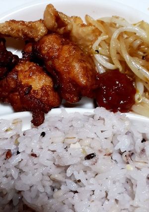 カレー味と塩こうじの唐揚げ鶏皮塩焼き。-レシピのメイン写真