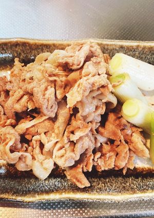 豚肉と長ネギの照り焼き-レシピのメイン写真