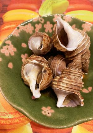 つぶ貝の煮付け-レシピのメイン写真