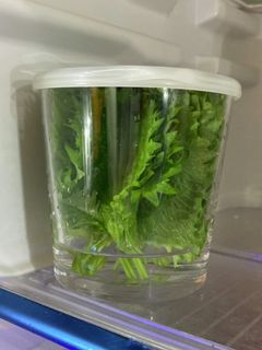 大葉の保存 生花風-レシピのメイン写真