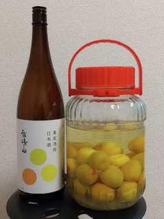 日本酒で作るまろやか梅酒-レシピのメイン写真