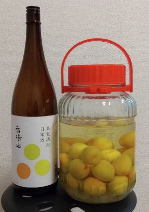 日本酒で作るまろやか梅酒-レシピのメイン写真