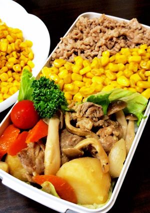男子高校生のお弁当20210608-レシピのメイン写真