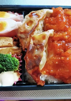 高校生息子弁当（6月8日）-レシピのメイン写真