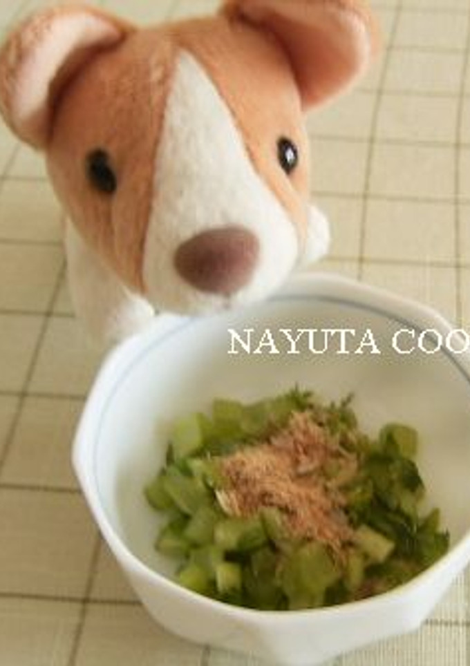 エコ❤大根の葉の塩漬け-レシピのメイン写真
