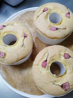 春~桜のシフォンケーキ-レシピのメイン写真