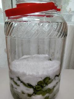梅の酵素ジュース-レシピのメイン写真