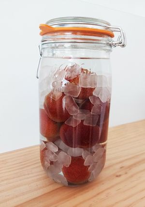 すもも酒-レシピのメイン写真
