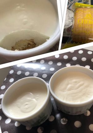水切りヨーグルトで絶品レアチーズ風-レシピのメイン写真