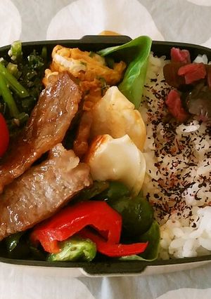 お弁当 2021.6.10-レシピのメイン写真