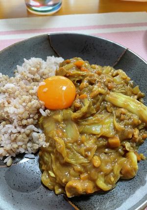 白菜大量消費☆白菜カレー-レシピのメイン写真