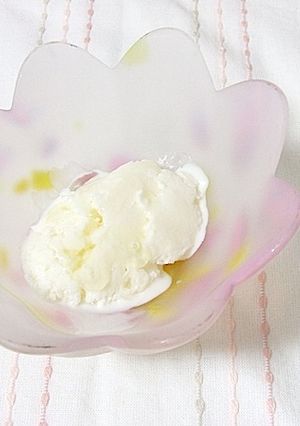 骨に良く整腸してくれるヨーグルトソルベ-レシピのメイン写真
