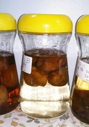 16 梅シロップ 穴あける?あけない?-レシピのメイン写真