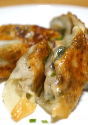 鯖缶とクリチの餃子☆-レシピのメイン写真