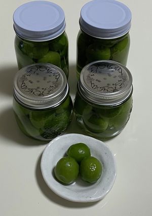 青梅の翡翠煮(甘露煮)-レシピのメイン写真