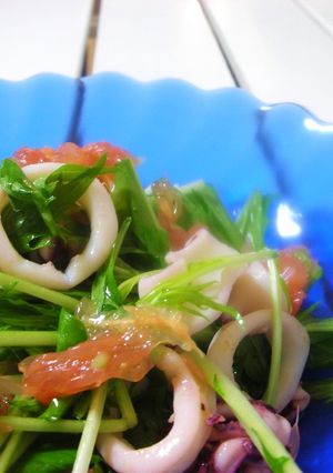 いかと水菜とグレープフルーツのサラダ-レシピのメイン写真