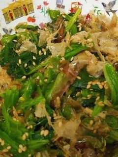 ほうれん草のおひたし-レシピのメイン写真