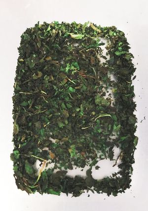 【大量消費】簡単!　乾燥しそ粉末-レシピのメイン写真