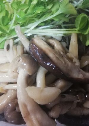 キノコとカイワレ！ゆりさん風-レシピのメイン写真