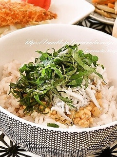 ひきわり納豆しらす丼-レシピのメイン写真