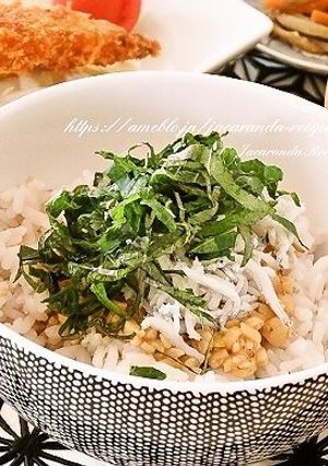 ひきわり納豆しらす丼-レシピのメイン写真