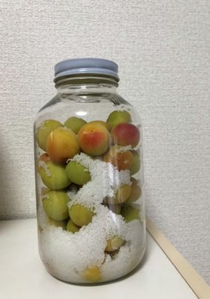 干さない梅干し-レシピのメイン写真