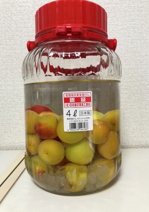 梅酒-レシピのメイン写真
