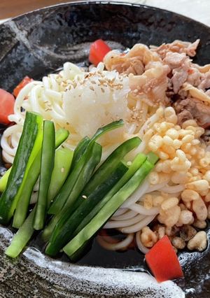 創作カスタム冷やしうどん-レシピのメイン写真