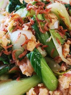 チンゲン菜とオキアミの卵炒め-レシピのメイン写真