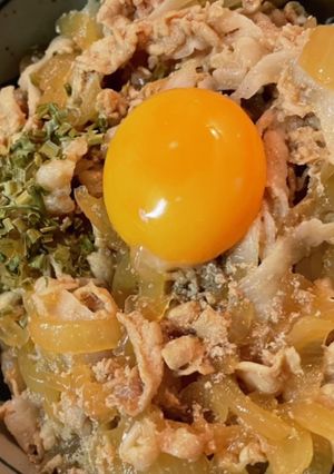 煮汁活用！スタミナ豚丼or牛丼！-レシピのメイン写真