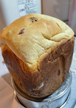リンゴとクランベリーパン2度目-レシピのメイン写真