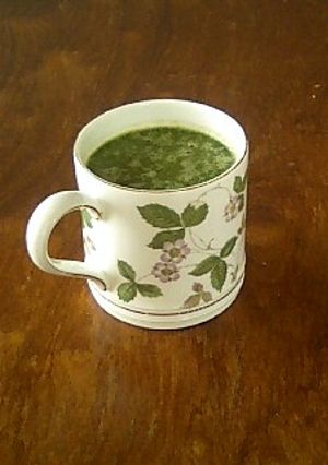 自家製野菜ジュースで簡単！体をキレイに！-レシピのメイン写真