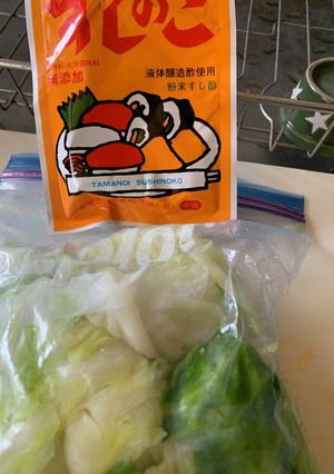 すしのこ浅漬けキャベツ-レシピのメイン写真