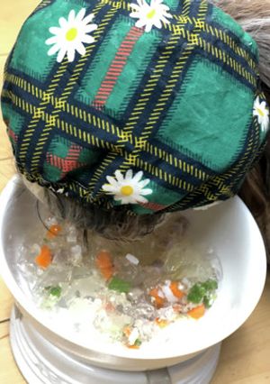 水を飲まない愛犬の副菜ジュレ-レシピのメイン写真