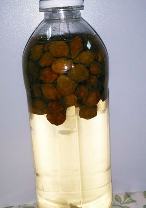 12ペットボトルで作る　小梅の梅シロップ-レシピのメイン写真