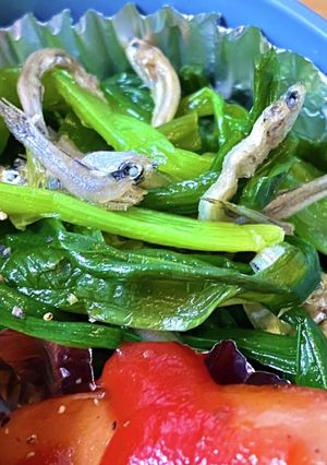 簡単！ニラのごま油おひたし^_^タロ弁当-レシピのメイン写真