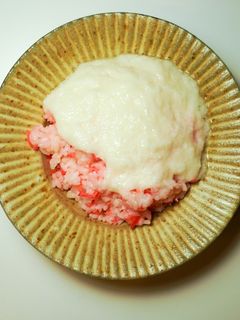 紅ショウガととろろご飯-レシピのメイン写真