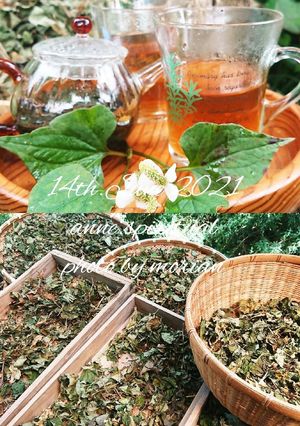 デトックスに♪おうちでドクダミ茶作ろ！-レシピのメイン写真