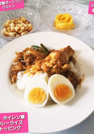 インゲンマメホウレン草の手羽元カレー☆他-レシピのメイン写真