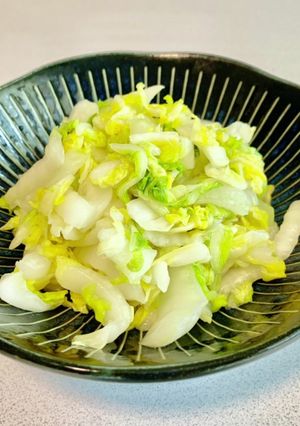 【簡単】白菜の浅漬け-レシピのメイン写真