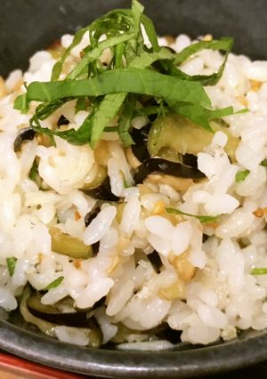 茄子の香りごはん-レシピのメイン写真