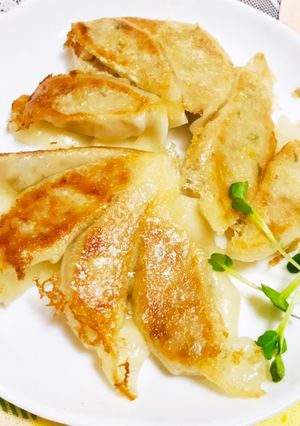 ヘルシー♫豆腐ギョウザ(肉ありVer.)-レシピのメイン写真