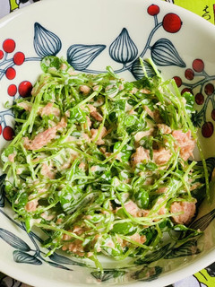 豆苗と鮭フレークのサラダ-レシピのメイン写真