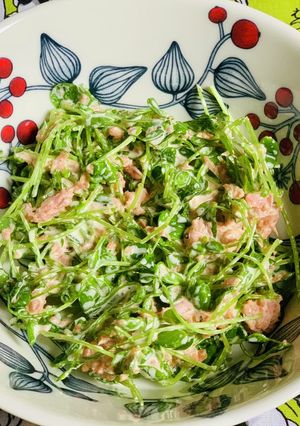 豆苗と鮭フレークのサラダ-レシピのメイン写真