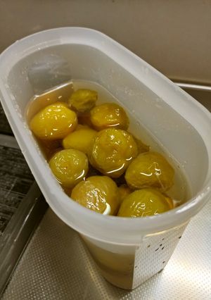 梅の実シロップ-レシピのメイン写真