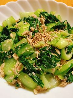 無限チンゲン菜-レシピのメイン写真