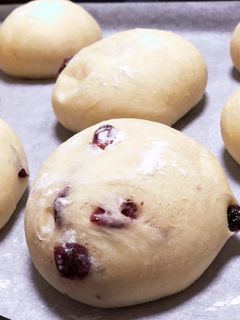 白パン(クランベリークリームチーズパン)-レシピのメイン写真